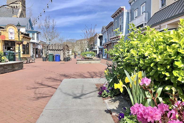 Thing To Do Cape May Shopping